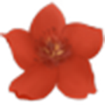 小红花直播音效助手旧版本