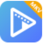 AVAide MKV Converter 1.0.8.0
