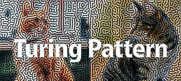 TuringPattern v1.0