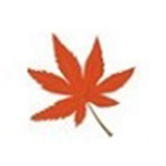 枫叶MPG格式转换器v13.7.0.0