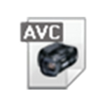4Easysoft AVC Converter官方版