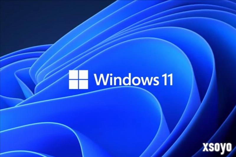 没bug都不叫升级：Win11更新会导致蓝光应用卡顿黑屏