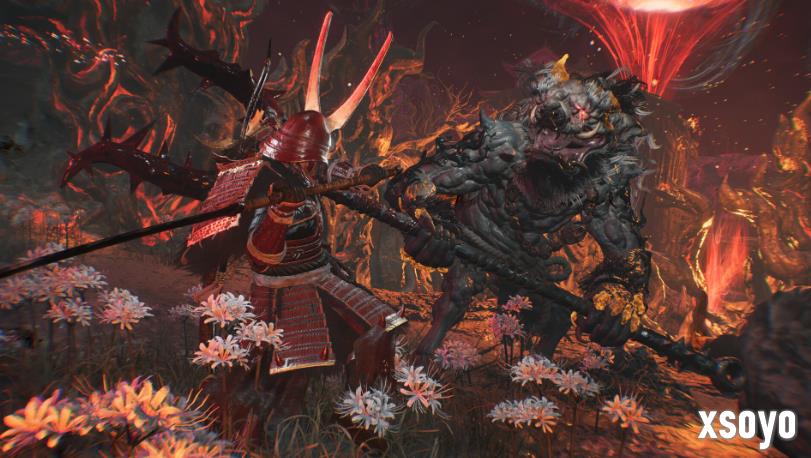 没有D加密！《仁王3》上线Steam商店：标准版348元！