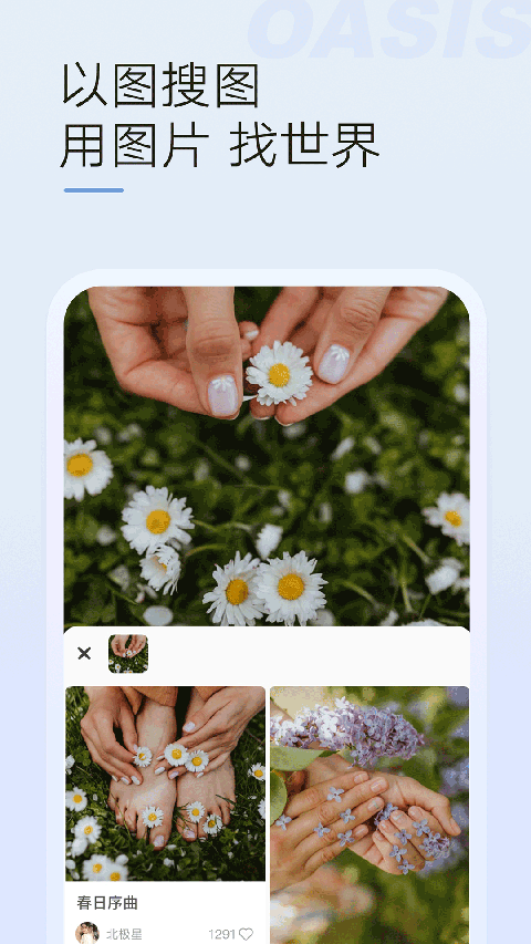 绿洲社交APP