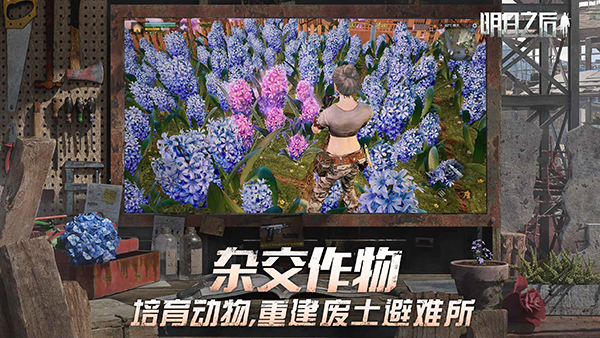 明日之后官方正版