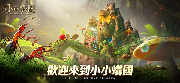 小小蚁国国际服(The Ants)