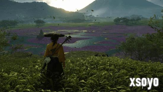 新手游网2