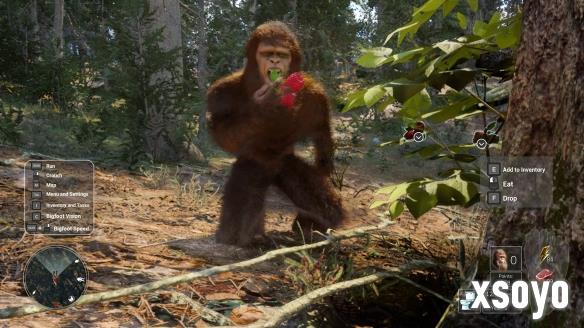 生活模拟《Bigfoot Life》定档11月！享受森林时光