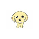 白牙宠物店管理系统3.3.1