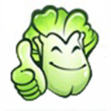 大白菜32位6.0.2311.15