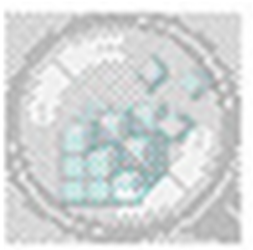 regsnap中文版V7.1