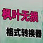 枫叶无损音频格式转换器v1.0