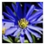 Visual SlideShow v1.7