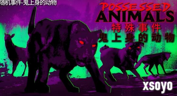 新手游网15