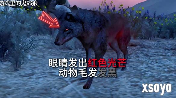 新手游网17