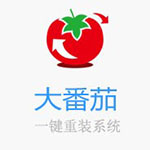 《大番茄一键重装系统》官方版