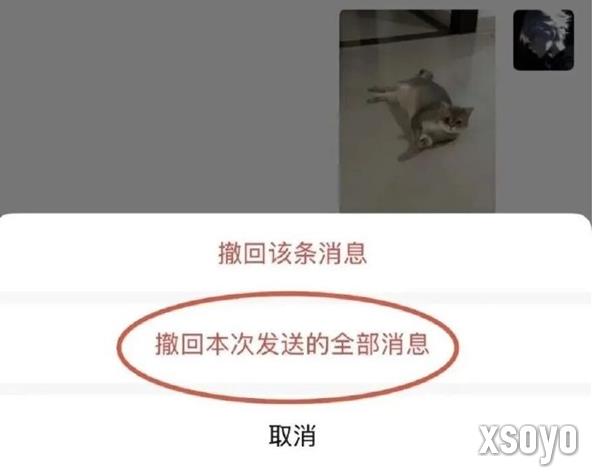 微信正在灰度测试“一次性撤回全部消息”功能