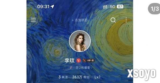 网友新手机号意外登入李玟账号 网易云音乐回应