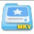 枫叶MKV视频转换器11.8.8.0