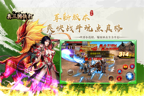 真三国快打华为版