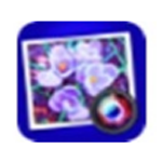 Spektrel Artv1.1.0