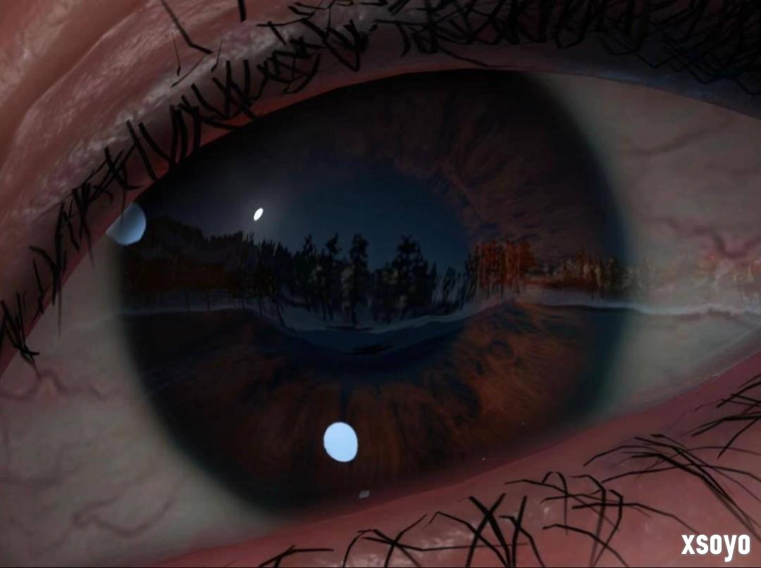 《羊蹄山之魂》女主眼睛有瞳孔反射场景 惊人细节引热议