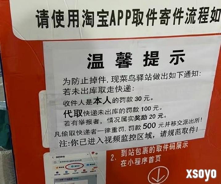 高校菜鸟驿站对取件未出库罚款100元 是罚取货人的款