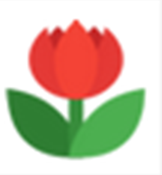 图图水印助手v1.0.0.4