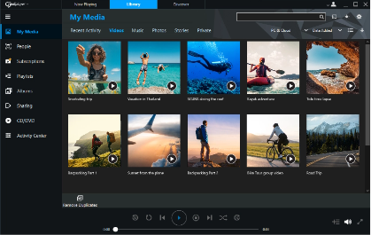 RealPlayerv16.0.7.00