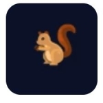 SquirrelDiskv0.3.4