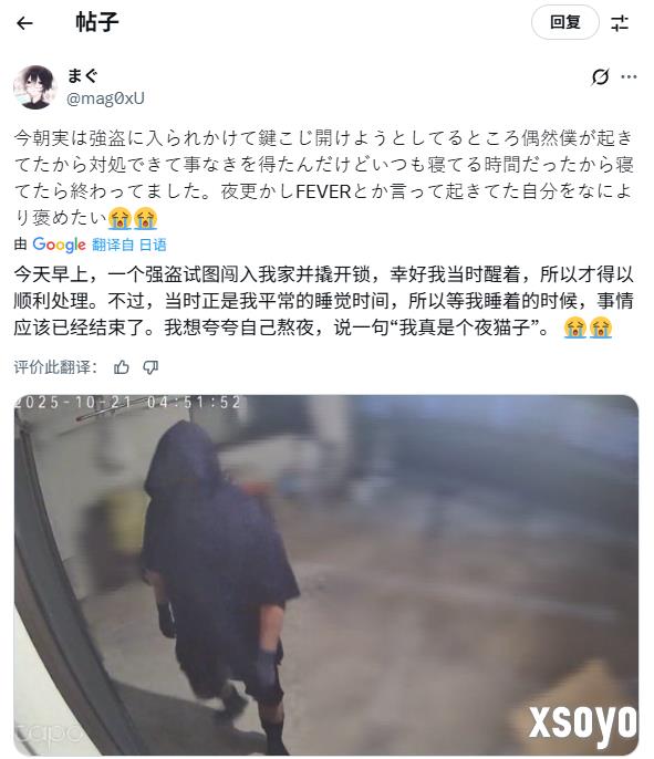 熬夜救了自己一命!玩家通宵玩《宝可梦传说 Z-A》遇到小偷撬锁