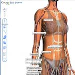 谷歌人体浏览器旧版本