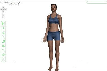 谷歌人体浏览器旧版本