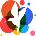 小鸟壁纸3.1123.2125.906