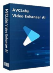 AVCLabs Video Enhancer AI-standard
