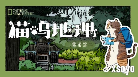四人拼图桌游《猫呜地理》正式公布 电子版将登陆Steam