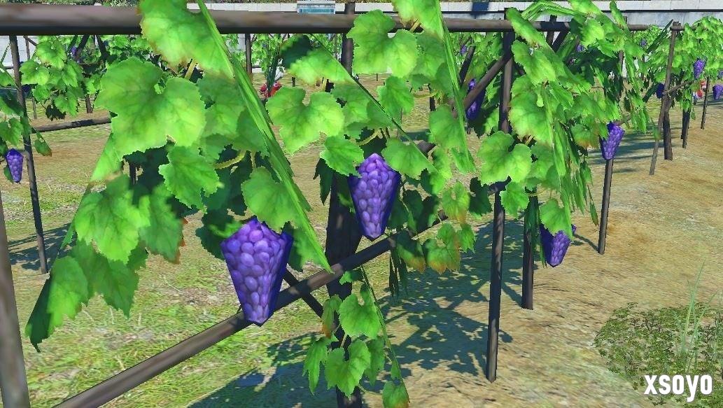 经典再现！《宝可梦传说 Z-A》葡萄园低模被调侃致敬《最终幻想14》