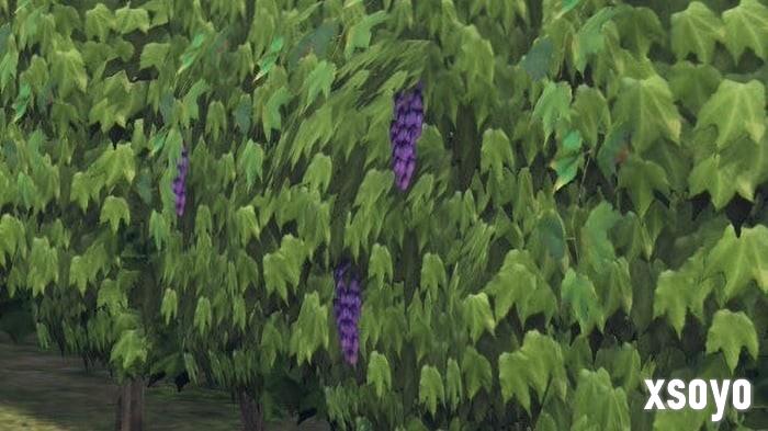 经典再现！《宝可梦传说 Z-A》葡萄园低模被调侃致敬《最终幻想14》