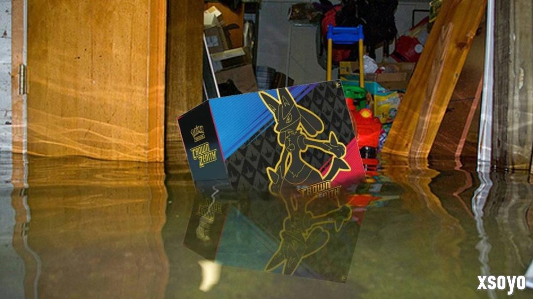 倒霉网友万元宝可梦卡牌被淹 保险理赔仅