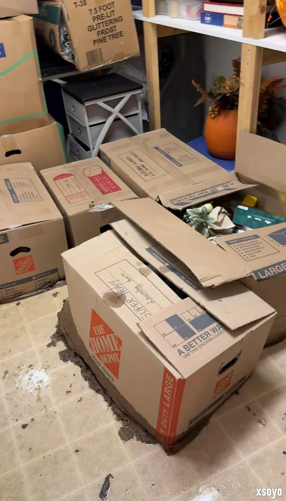 倒霉网友万元宝可梦卡牌被淹 保险理赔仅