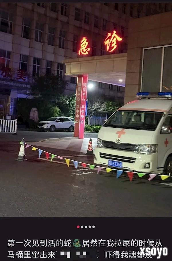 江苏一女子半夜上厕所 马桶里窜出一条蛇顶到屁股