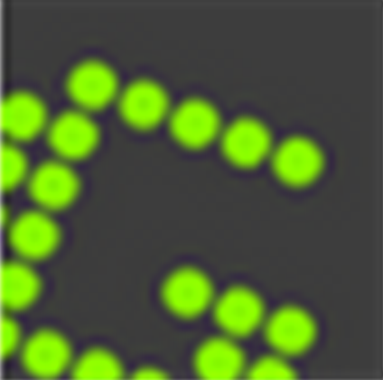 屏幕截图工具(Greenshot)v1.3.238