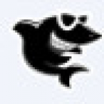 黑鲨装机大师最新版