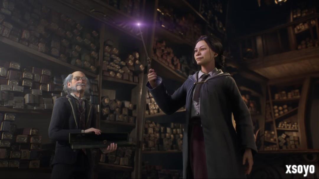 招聘信息暗示《霍格沃茨之遗2》或将转型为MMORPG