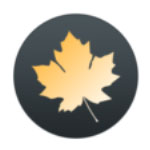 《枫木壁纸》官方版