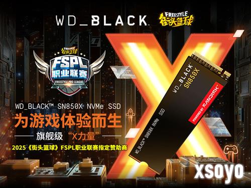 WD_BLACK SSD助力2025《街头篮球》FSPL职业联赛