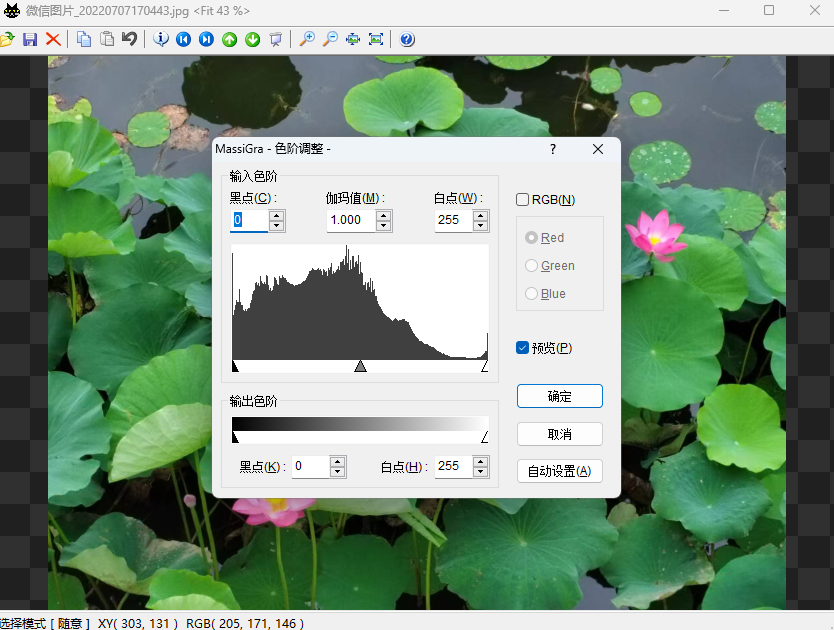 MassiGra32位0.4.1.0