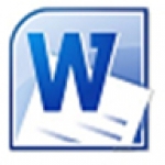 word2010