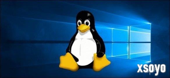 Linux系统Steam玩家占比突破3% 或受Win10停更影响