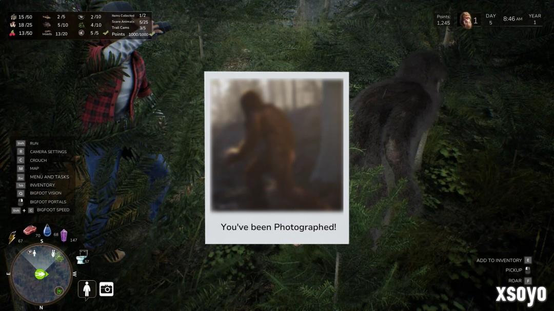 大脚怪模拟游戏《Bigfoot Life》现已登陆Steam